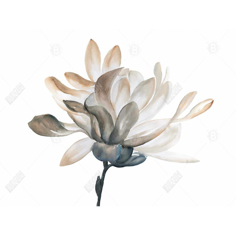 Bless international Microfiber Bath Mat Wayfair